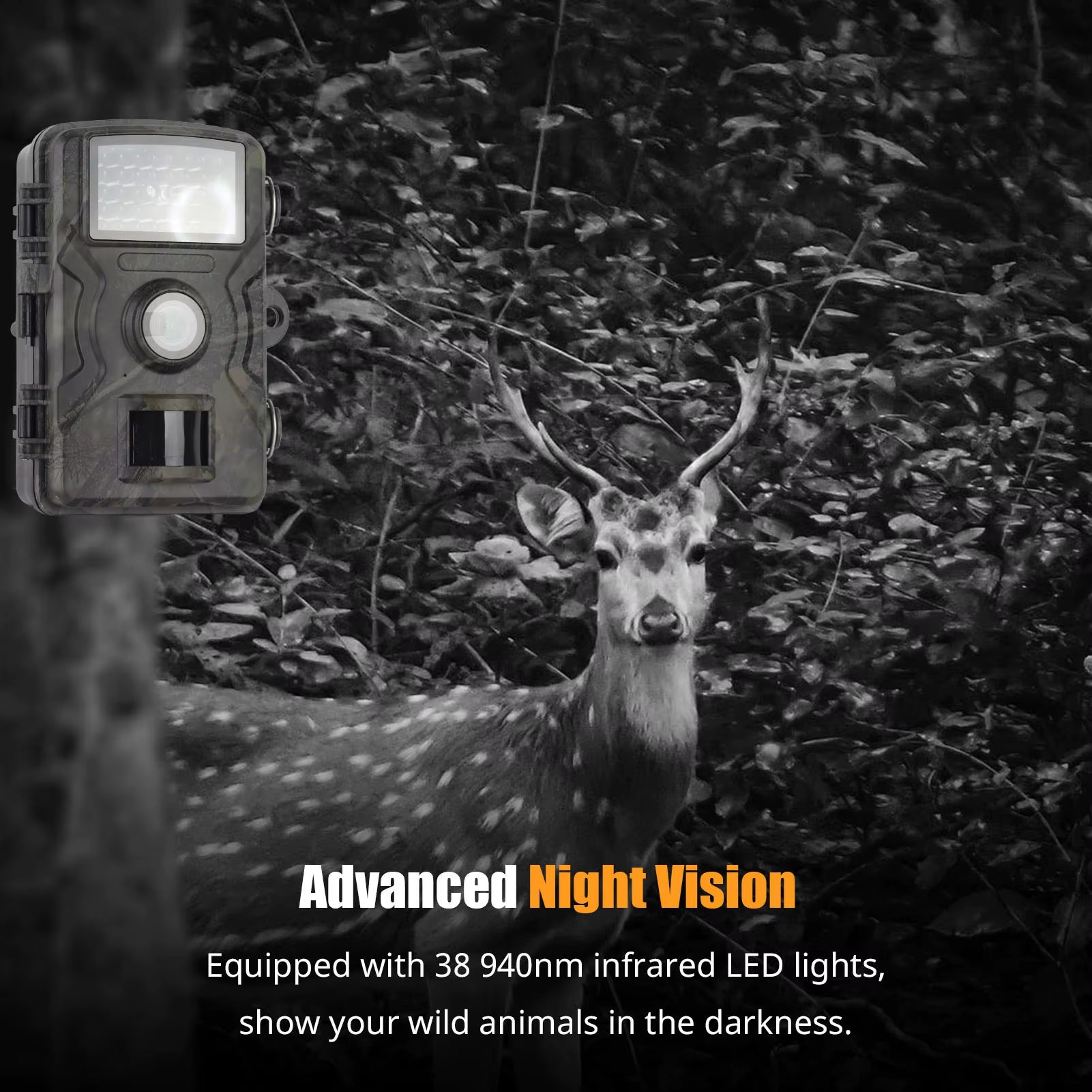 1080P Hunting Camera 2.0In LCD 16MP Infrared Night Vision Mobile Monitoring IP66 Waterproof Trail Camera Waterproof Camera