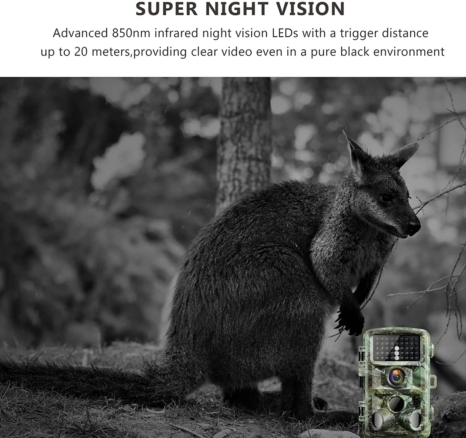 1080P Trail Game Camera Hunting Deer Camera with Infrared Night Vision Waterproof Trail Cam for Wildlife Monitoring