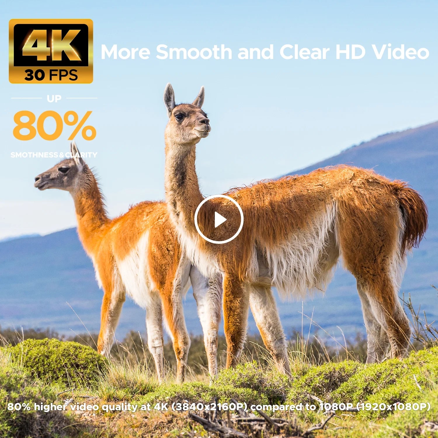 2 Pack Trail Game Hunting Wildlife Camera 48MP 4K Night Vision Motion Activated Waterproof